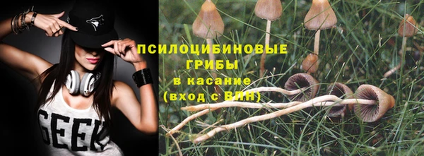 a pvp Беломорск