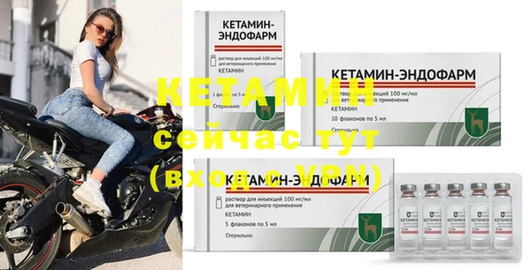 стафф Россошь