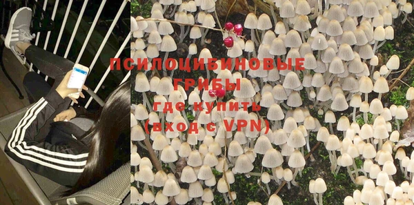 PSILOCYBIN Белоозёрский