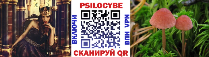darknet состав  где продают   Севск  Галлюциногенные грибы Psilocybe 